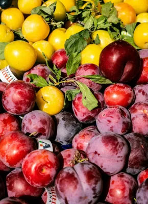 Vibrant mix of ripe plums and yellow tomatoes at a bustling outdoor market stand.