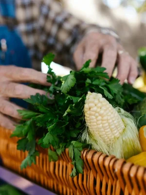 Close-up of hands arranging vibrant fresh vegetables in a basket outdoors.